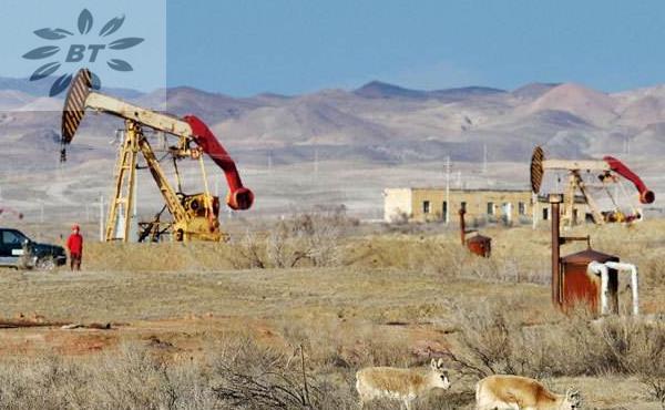 恭贺碧涂(BITU)水处理科技新疆阜康办事处成立